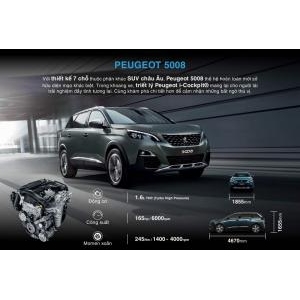 Peugeot 3008
 2018 2018