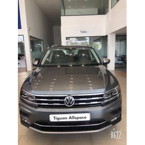Volkswagen Tiguan
 D 2019