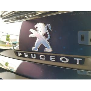 Peugeot 3008
 C 2020