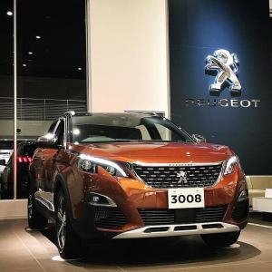 Peugeot 3008
 2019 2019