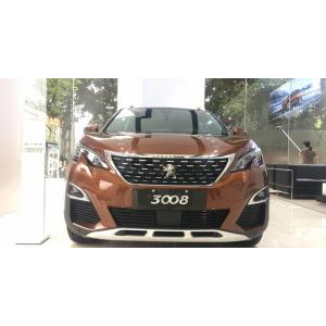 Peugeot 3008
 2019 2019
