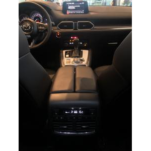 Mazda CX8 2019 2019