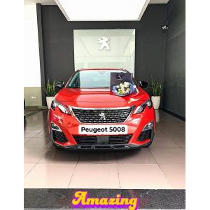 Peugeot 3008
 2020 2019