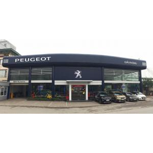 Peugeot 5008
 2020 2020